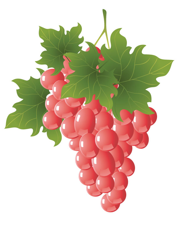 vector free download grape - photo #42