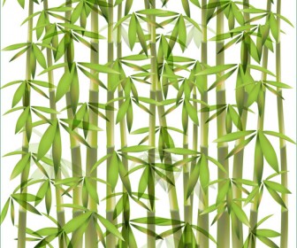 Vector Bamboo Background