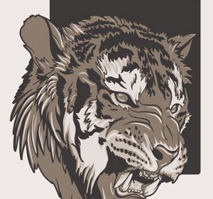 Tiger Illustration Vector