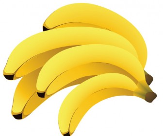 Bananas vector art
