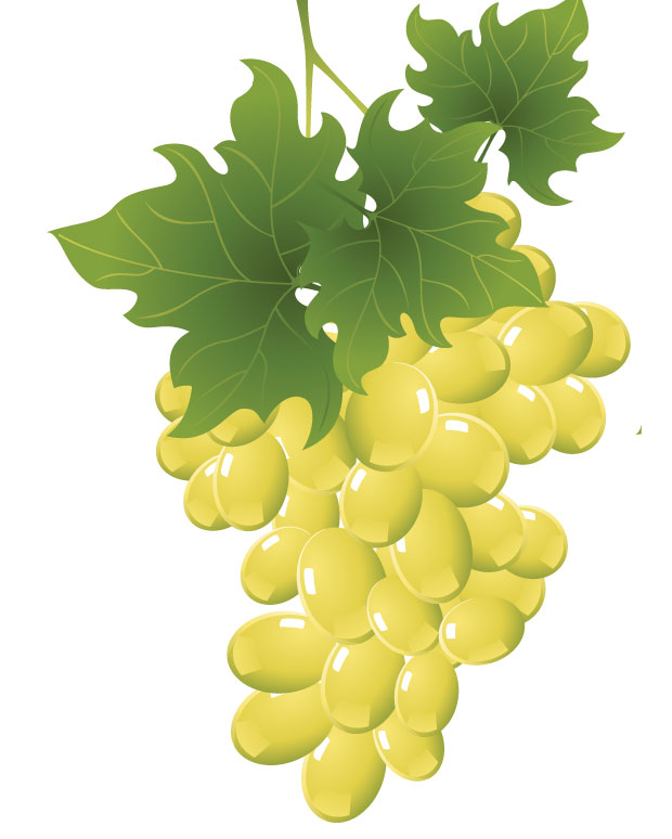 Green grapes vectorart - Ai, Svg, Eps Vector Free Download