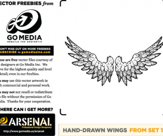Hand Drawn Wings Vector