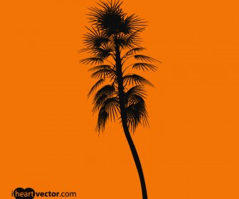 Silhouettes Palm Trees Vector