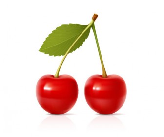 Cherry Vector Illustration