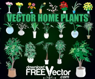 Home Plants Vector