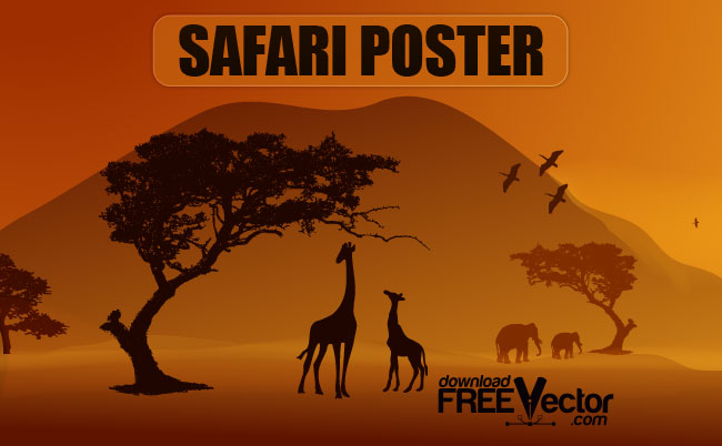 html video poster safari
