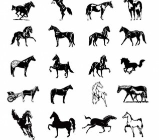 Black And White Horse Clip Art Pictures Vector Clip Art