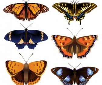 Vector Butterfly Vector Art