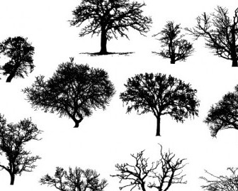 Vector Art: Trees Vector Art