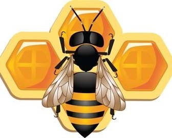 Honeycomb Bee Vector