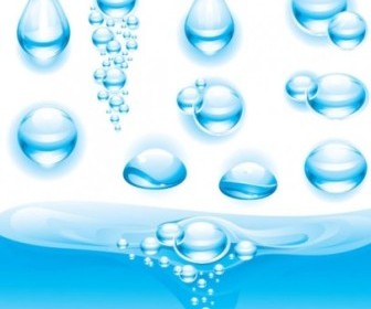 Water Droplets Vector
