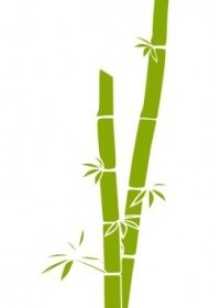 Bamboo Vector