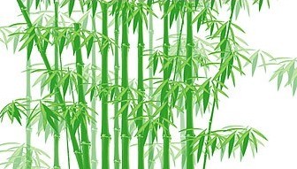 Vector The Green Bamboo Material Tree Plant Vector Graphics