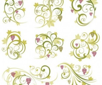Abstract Floral Vine Grape Ornament Vector Vector Floral