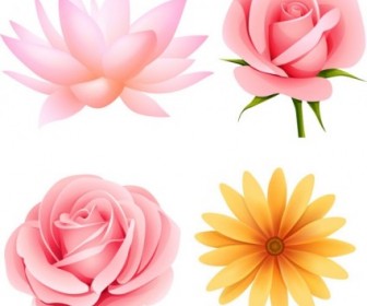Beautiful Flowers Vector Illustration
