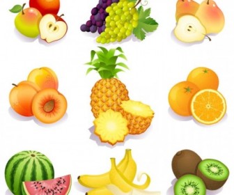 Fresh Fruits Vector Illustration