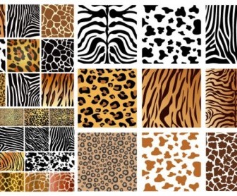 Animal Skin Textures Vector Pack