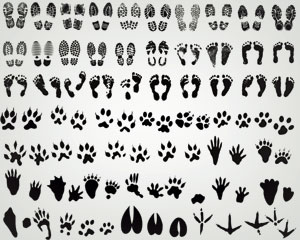 Illustrations Footprints Collection