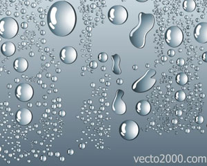 Vector Water Drop Illustration