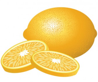 Lemon Vector illustration