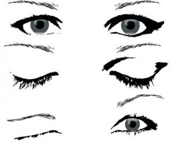 Eye Illustration Vector