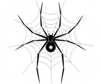 Spider Vector Illustration