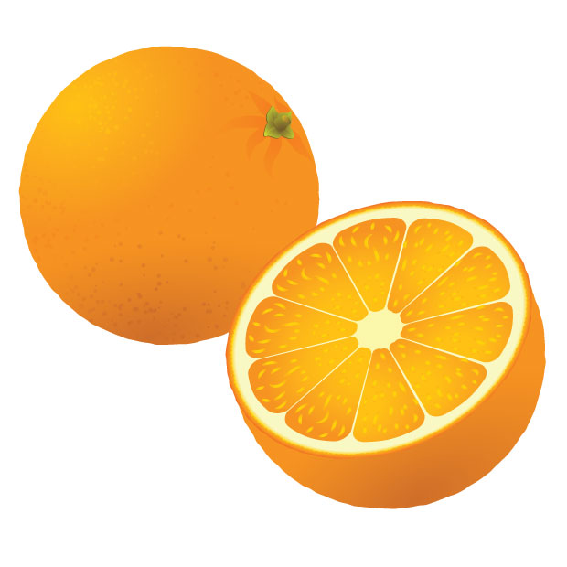 Oranges vector art - Ai, Svg, Eps Vector Free Download