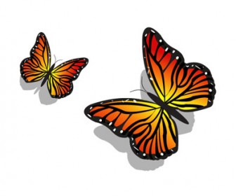 Butterflies Vector Illustration