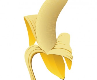 Banana vector art