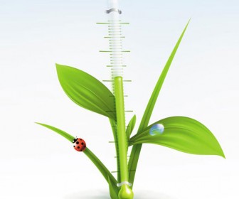 Green Plant and Thermometer vector