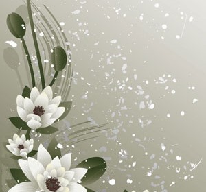 White Flower background