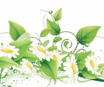 Free Vector Elegant Floral Background
