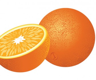 Fresh Orange Fruit Vector